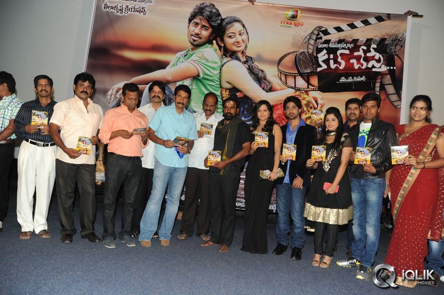 Cut-Chesthe-Movie-Audio-Launch